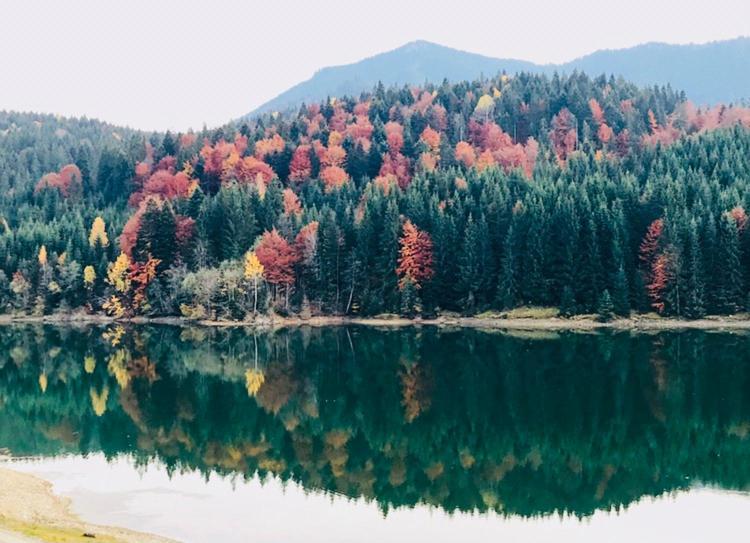 Chalet Du Lac Colibiţa 외부 사진